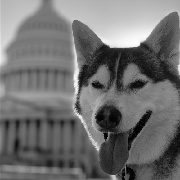 Meet your Posher, Alicia - Picture 2 of 2